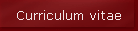 Curriculum vitae